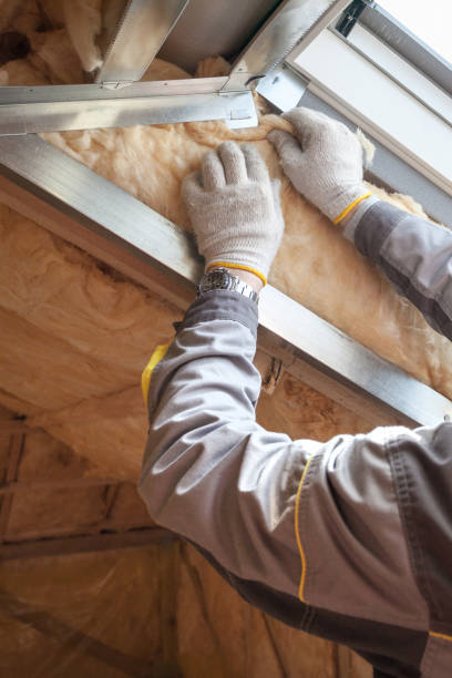 Best Insulation Installation Services in Kayak Point, WA