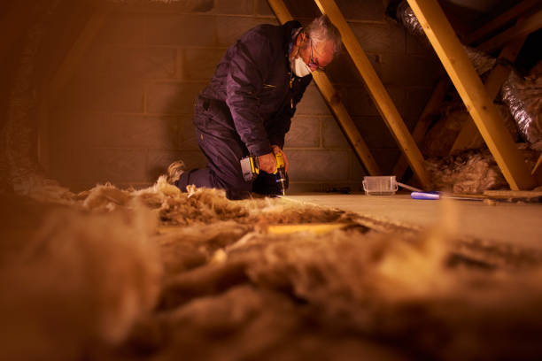 Best Insulation Materials and Products in Kayak Point, WA